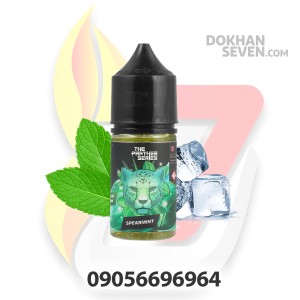 ایجوس سالت دکتر ویپ نعنا یخ | DR-VAPES SPEARMINT SALT